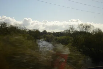 DSC_7188 (Large).JPG